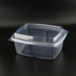 by-EFE Plastic Salad Container EFE-GSK-S2